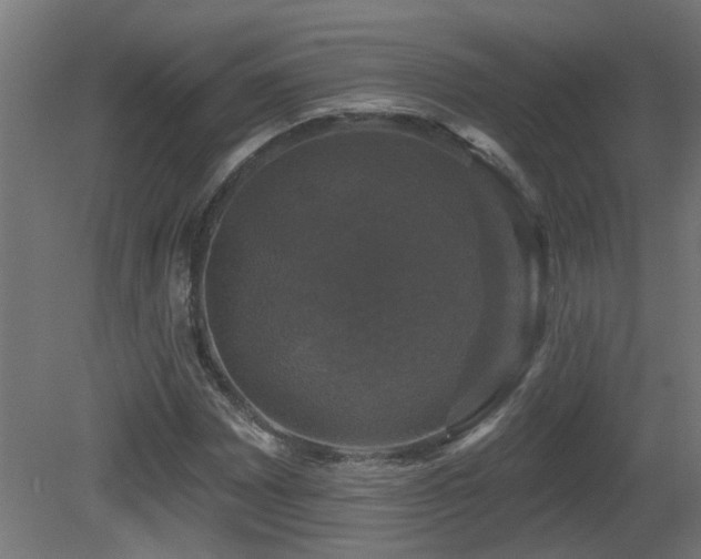 X0000081361065200701111515