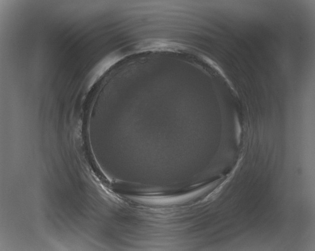 X0000081361066200701111515