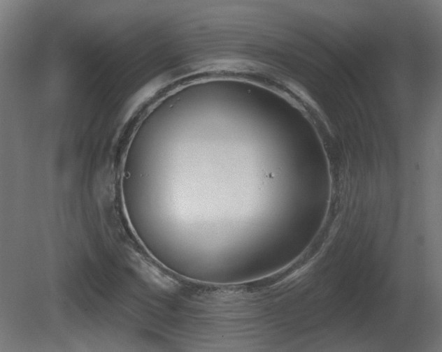 X0000081361067200701111515
