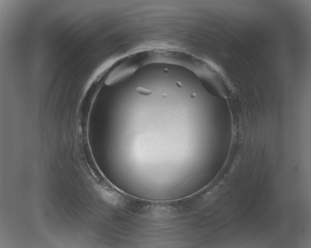 X0000081361070200701111515