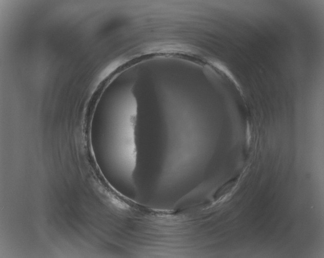 X0000081361071200701111515