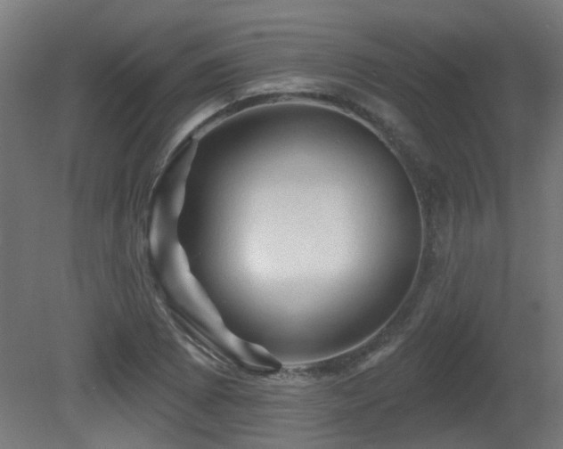 X0000081361073200701111515
