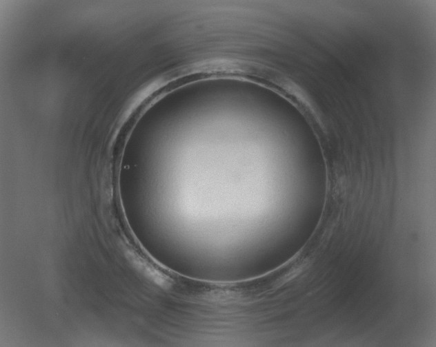X0000081361075200701111515