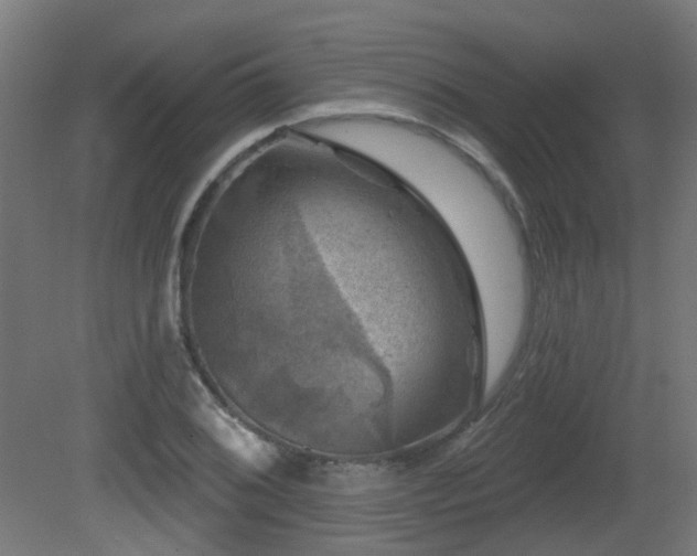 X0000081361076200701111515