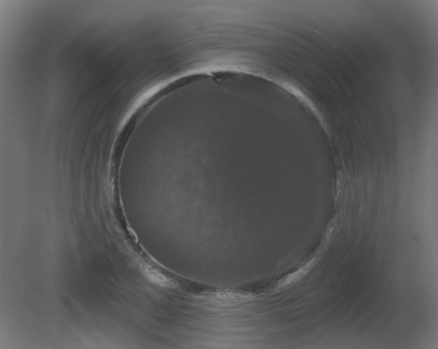 X0000081361077200701111515
