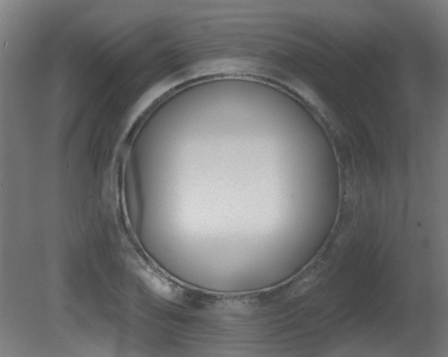 X0000081361078200701111515