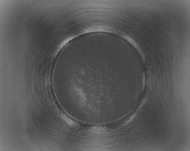 X0000081361081200701111515
