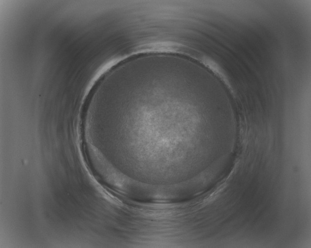 X0000081361085200701111515