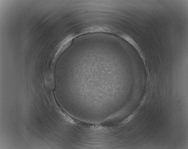 X0000081361089200701111515