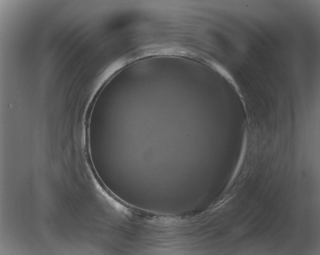 X0000081361095200701111515