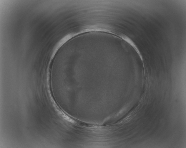 X0000081361096200701111515