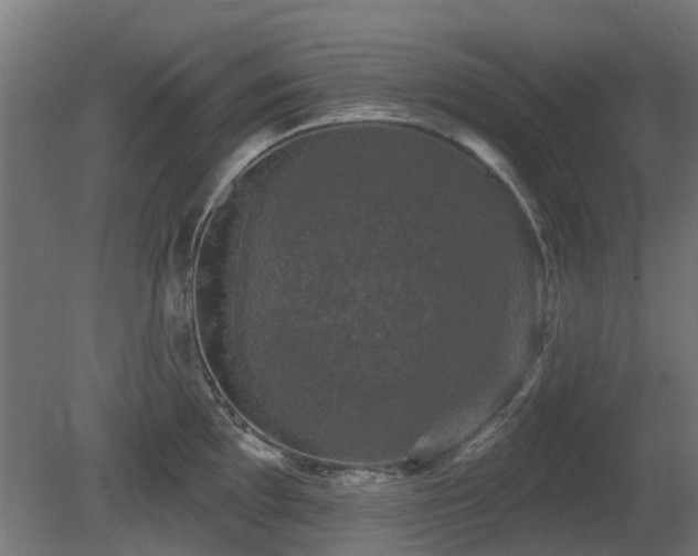 X0000081361097200701111515