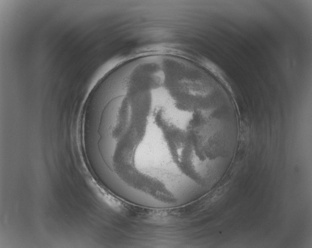 X0000081361098200701111515