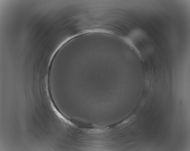 X0000081361100200701111515