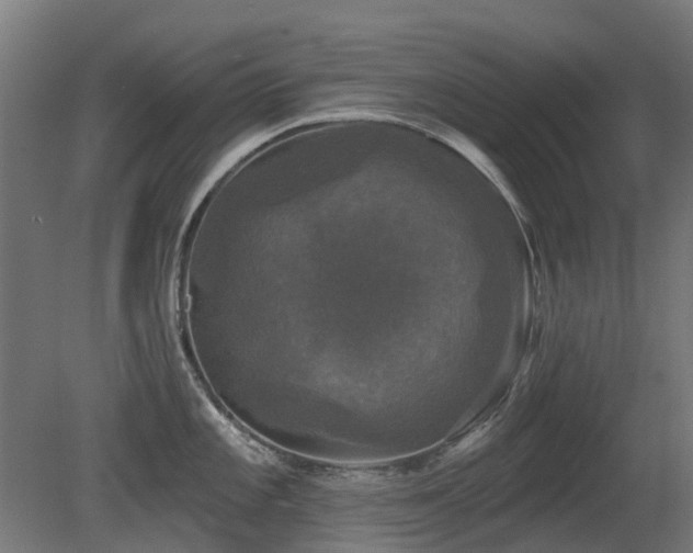 X0000081361101200701111515