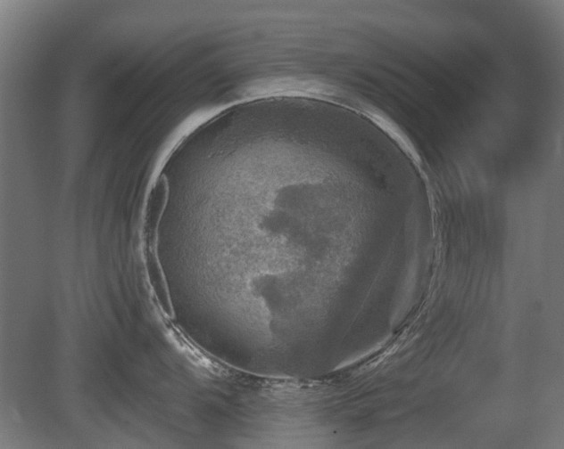 X0000081361104200701111515
