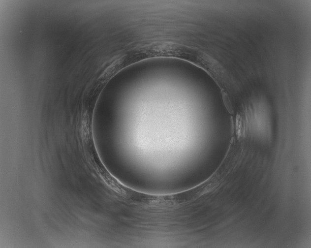 X0000081361107200701111514