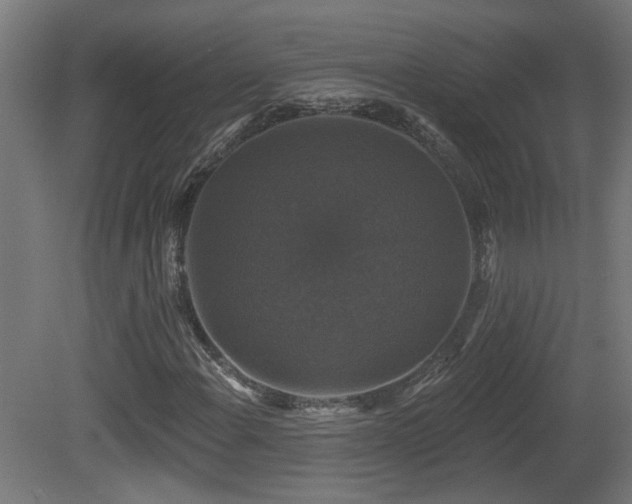 X0000081361108200701111514