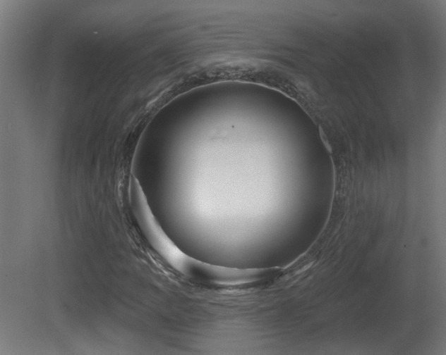 X0000081361109200701111514
