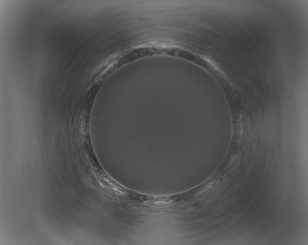 X0000081361110200701111514