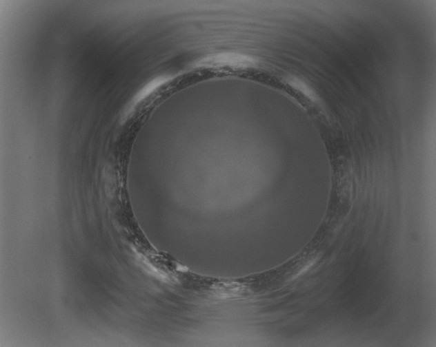 X0000081361112200701111514