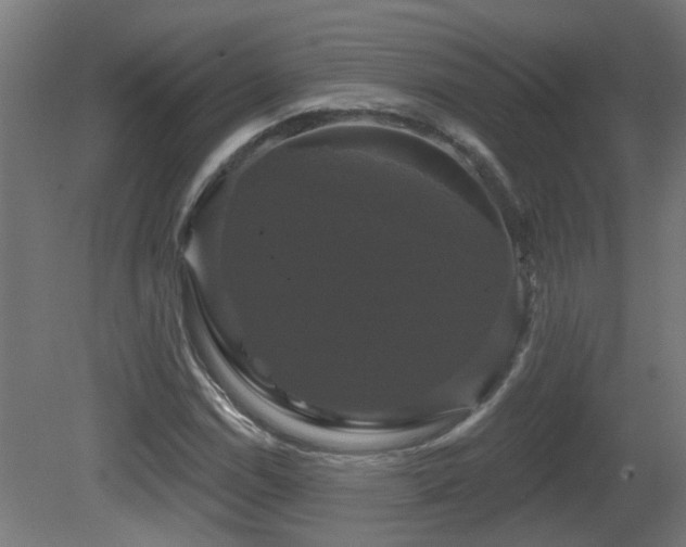 X0000081361114200701111514