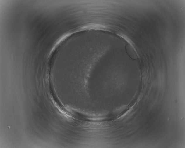 X0000081361115200701111514