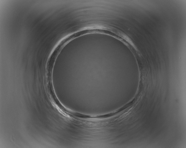 X0000081361116200701111514