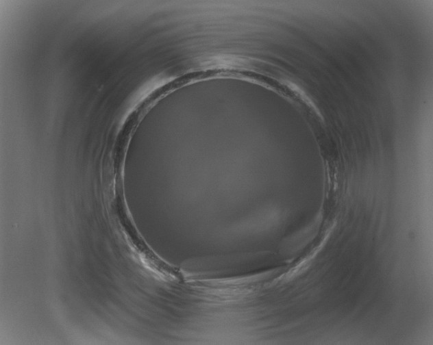 X0000081361117200701111514