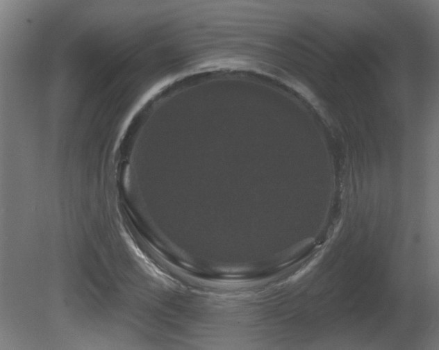 X0000081361118200701111514