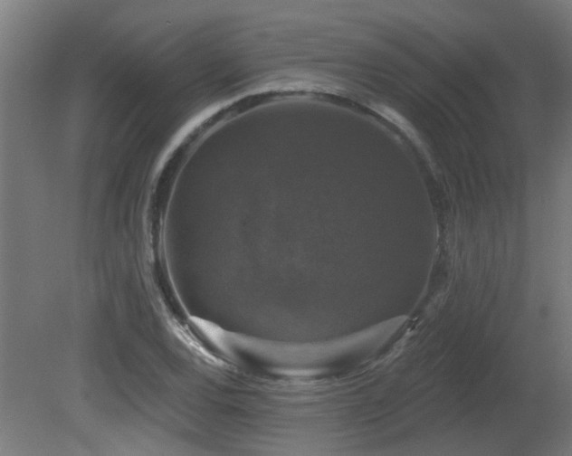 X0000081361120200701111514