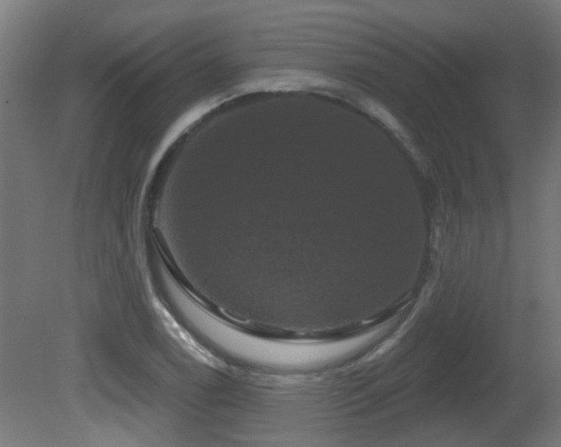X0000081361122200701111514
