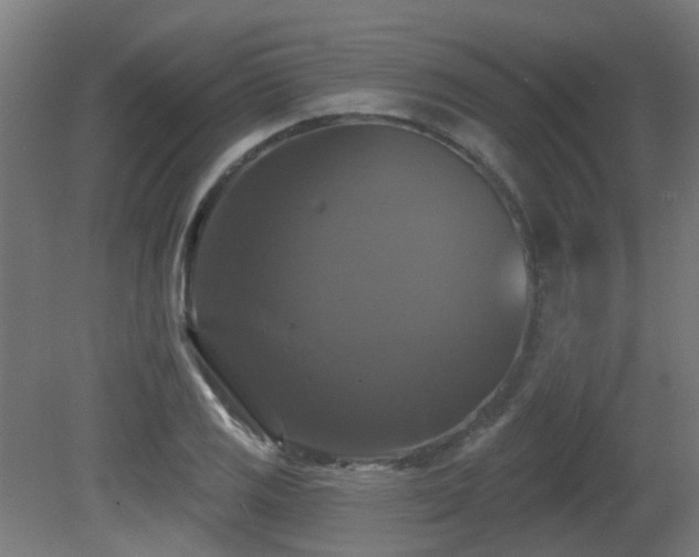 X0000081361125200701111514