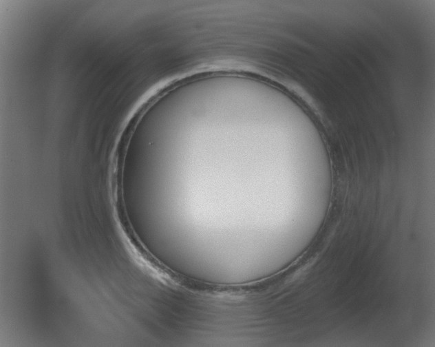 X0000081361126200701111514