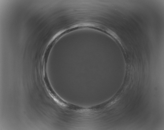 X0000081361127200701111514