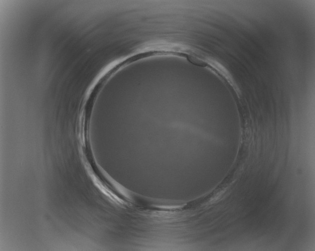 X0000081361128200701111514