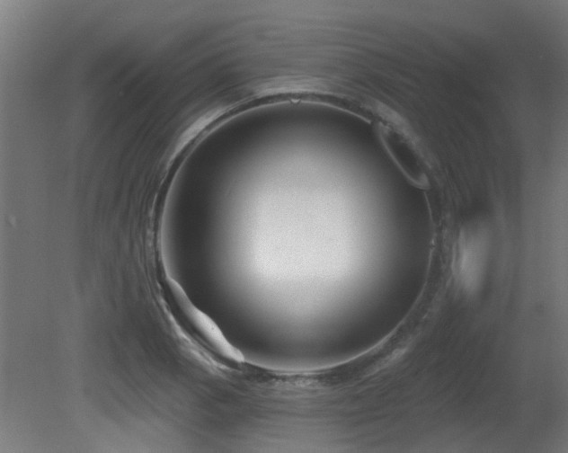 X0000081361129200701111514