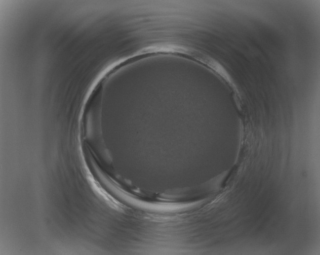 X0000081361132200701111514