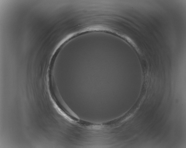 X0000081361134200701111514