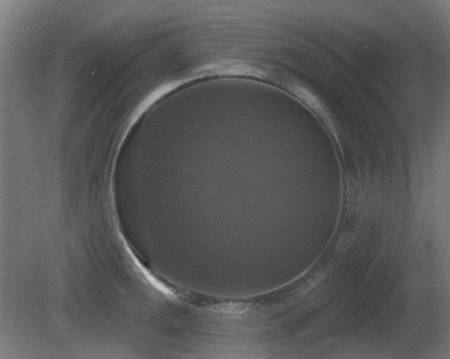 X0000081361141200701111514