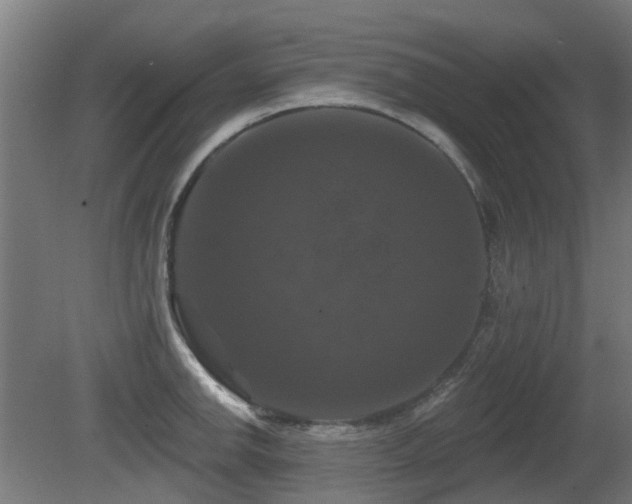 X0000081361142200701111515