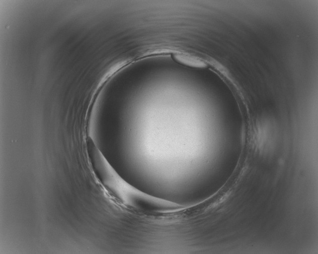 X0000081361145200701111515
