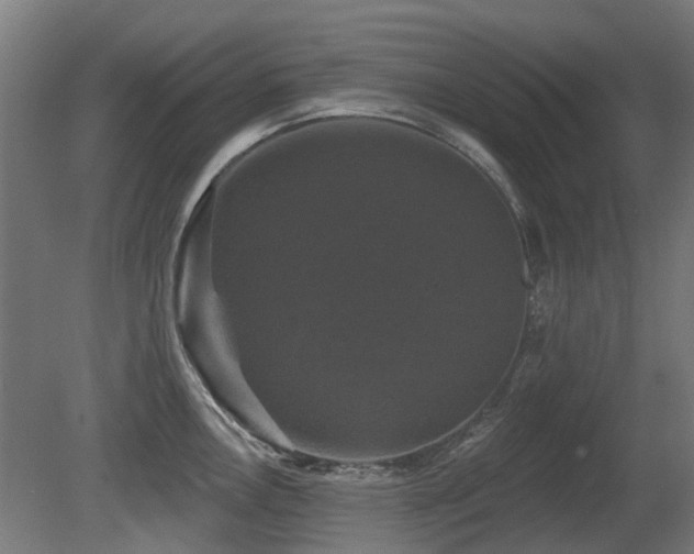 X0000081361146200701111515