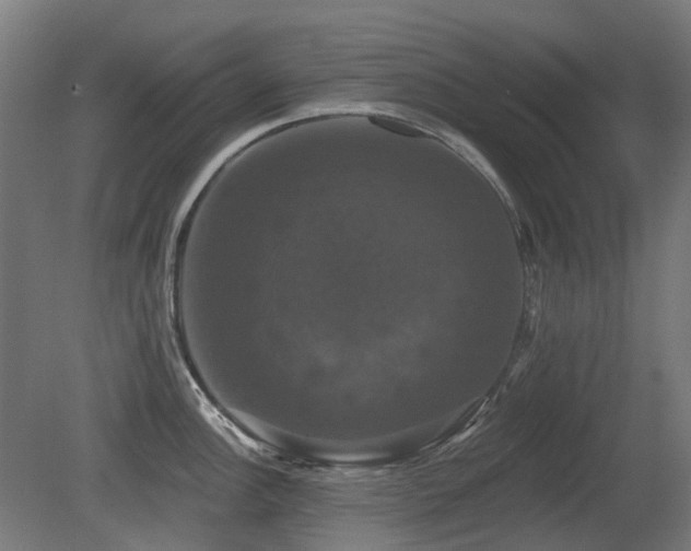 X0000081361148200701111515