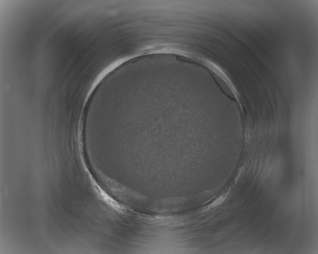 X0000081361149200701111515