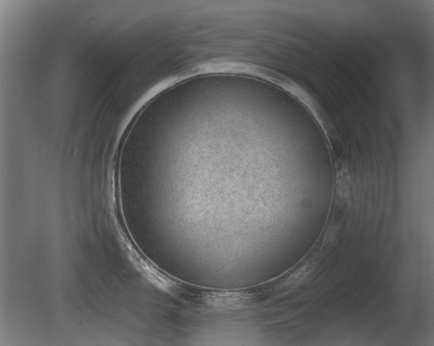 X0000081361150200701111515