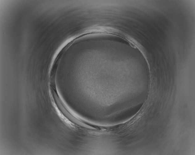 X0000081361152200701111515