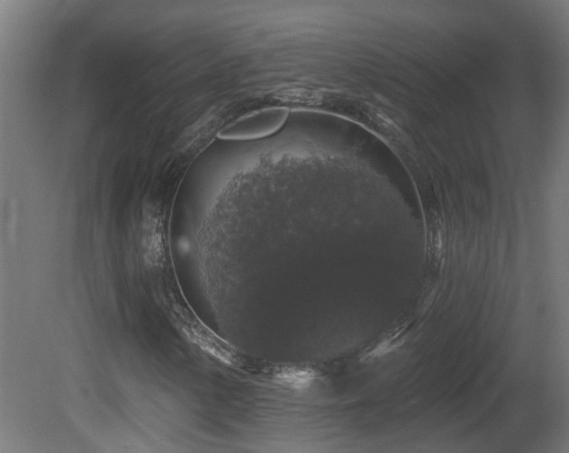 X0000081361154200701111514
