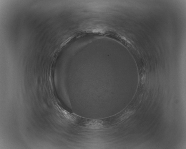 X0000081361156200701111514