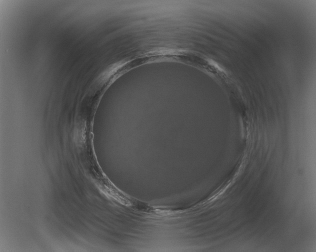 X0000081361161200701111514